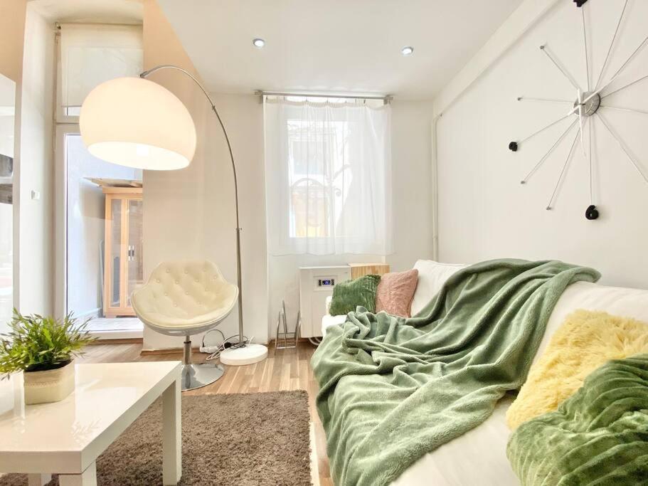 Stay Cool! Apartment With Sauna And Private Garden 布达佩斯 外观 照片